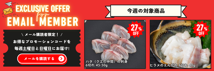 Email Member Promo ja