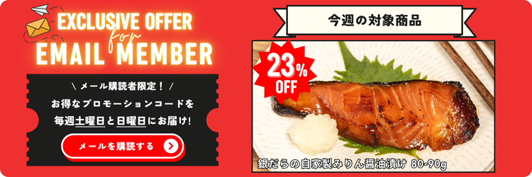 Email Member Promo ja