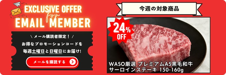 Email Member Promo ja