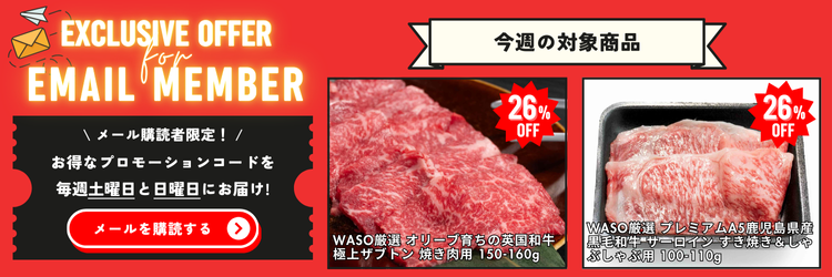 Email Member Promo ja