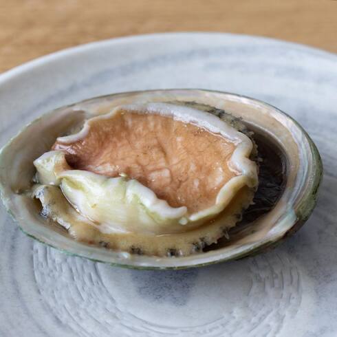 Whole Abalone for Sashimi or Cooking 1pc by Nobu Sakaguchi (15 years at a Michelin starred)