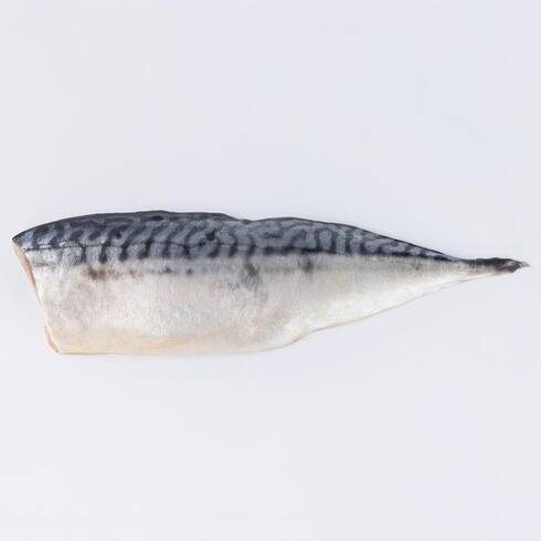 Salted Norwegian Mackerel Fillet for Grill 170-180g by Nobu Sakaguchi (15 years at a Michelin star)