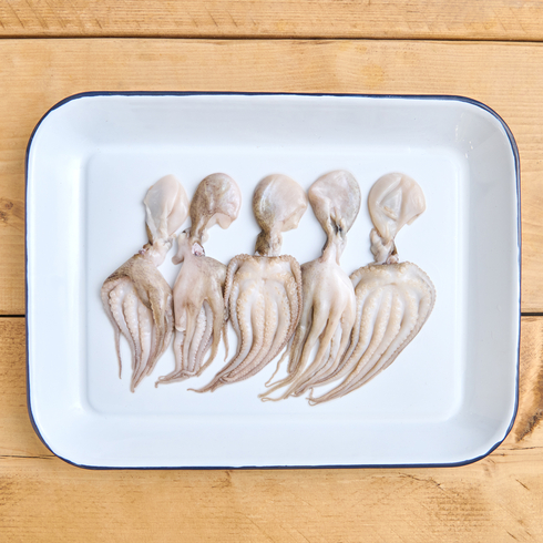 小ダコ 下処理済み 210-250g