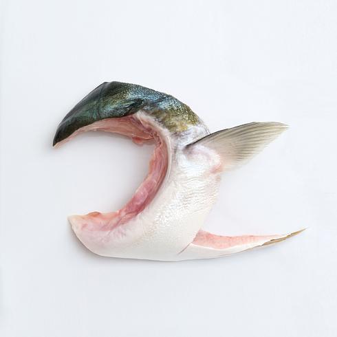 Yellowtail Collar from Kagoshima (Sashimi Quality) 140-170g by Nobu Sakaguchi (15 years at a Michelin star)