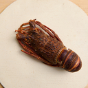 Whole Tristan Lobster (Boiled)