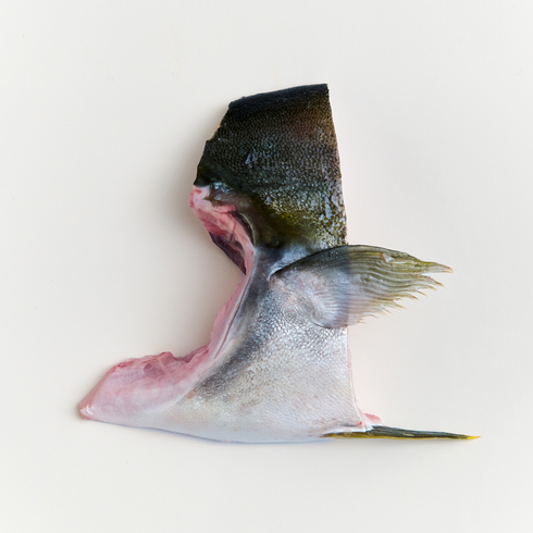 ぶりかま 刺身・塩焼き・煮つけ用 140-170g by Nobu Sakaguchi (15 years at a Michelin star)