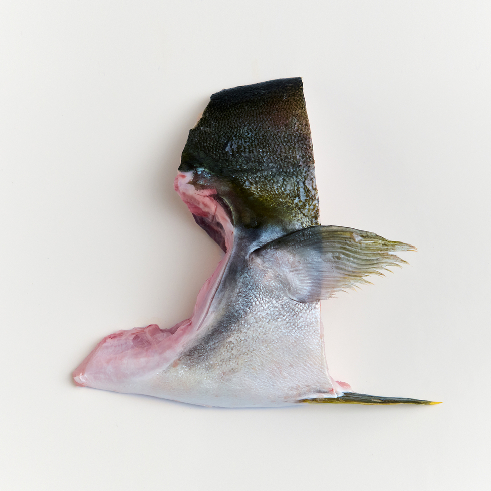 ぶりかま 刺身・塩焼き・煮つけ用 140-170g by Nobu Sakaguchi (15 years at a Michelin star)