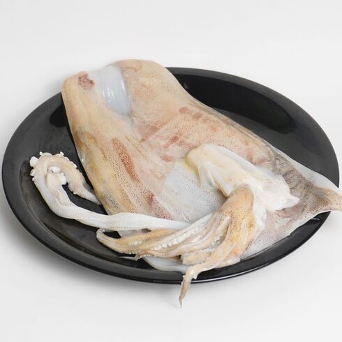 Homemade Overnight Dried Squid 250-300g by Nobu Sakaguchi (15 years at a Michelin starred)