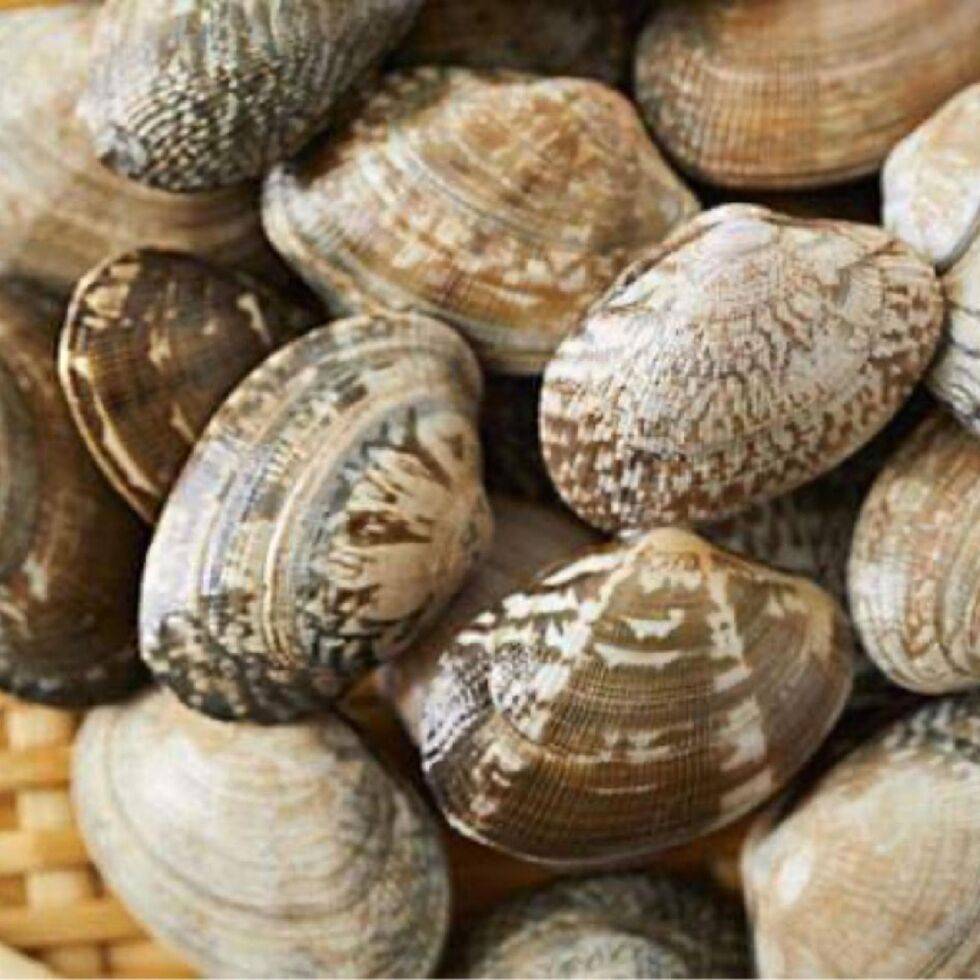 Clam (Shells do not open when cooking as frozen)