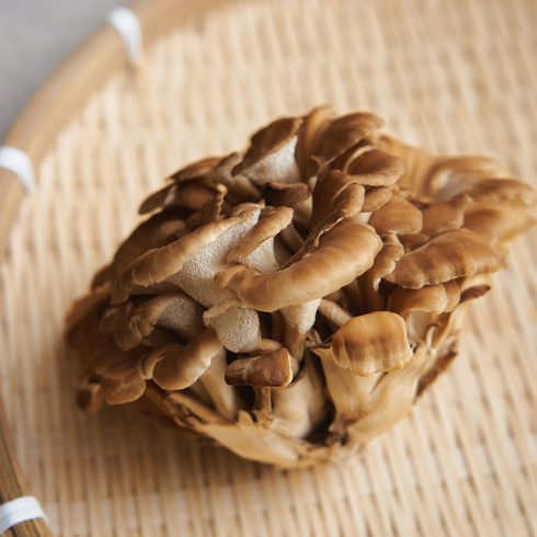 Japanese Maitake Mushroom 100g