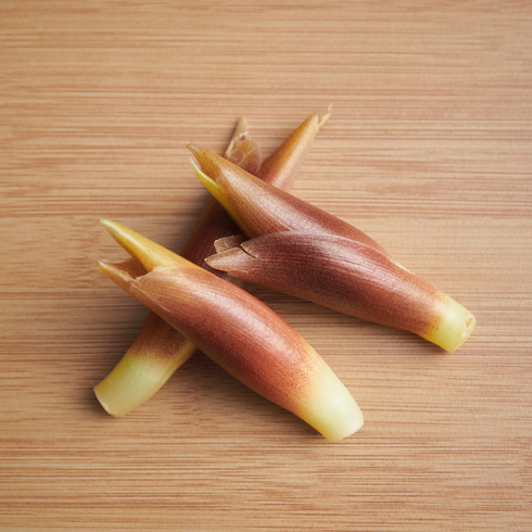 Japanese Myoga Ginger 50g (3pcs normally)