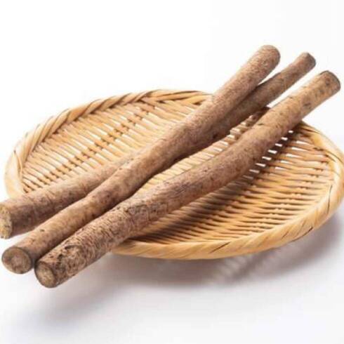 Burdock Root, Cut into 3 pieces 80-90cm from China ※Click for details