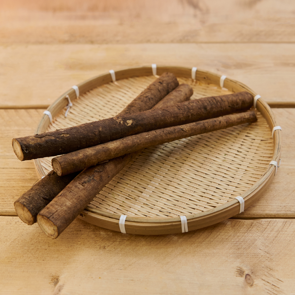 Burdock Root, Cut into 3 pieces 80-90cm from China ※Click for details