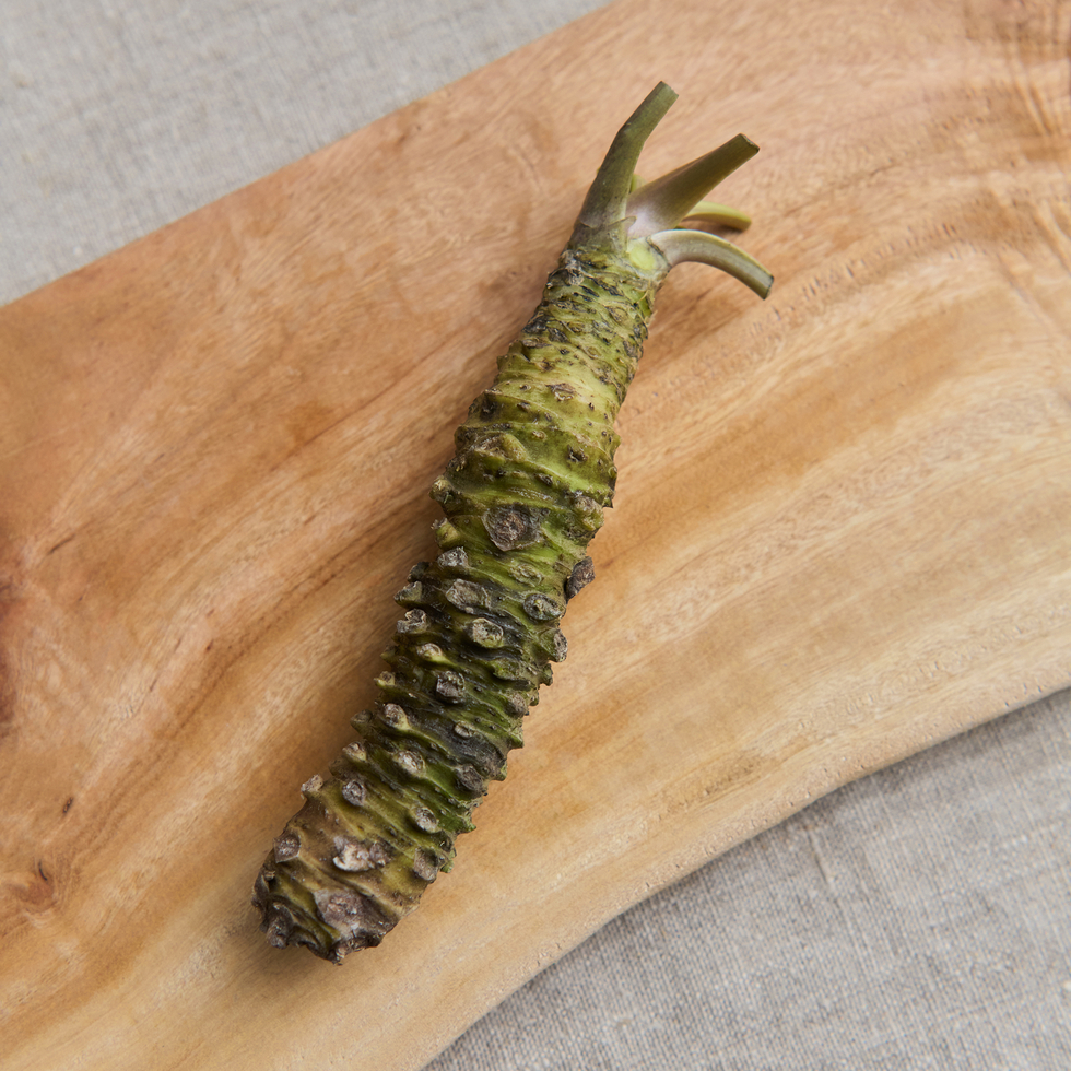 Fresh Wasabi Root from Shizuoka, Japan 1 Piece