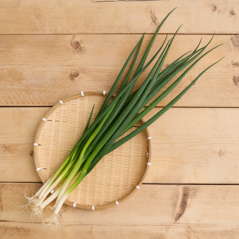 Kujo Spring Onion from Kyoto 150g