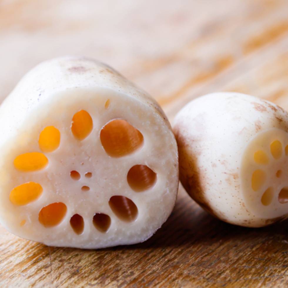 Chilled Lotus Roots Renkon (Raw/Fresh Veg) from Thailand or China