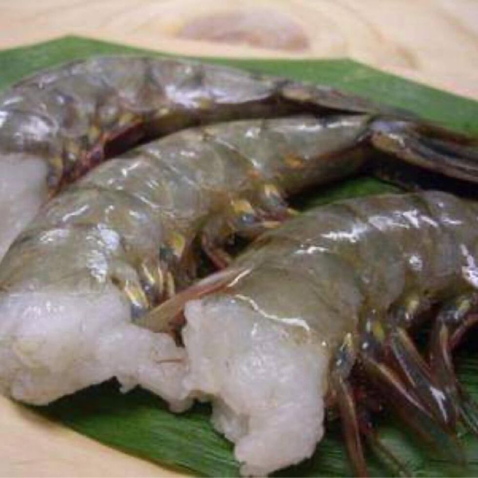 （近日登場） ブラックタイガー海老 (調理用) 110-115g by Nobu Sakaguchi (15 years at a Michelin star)