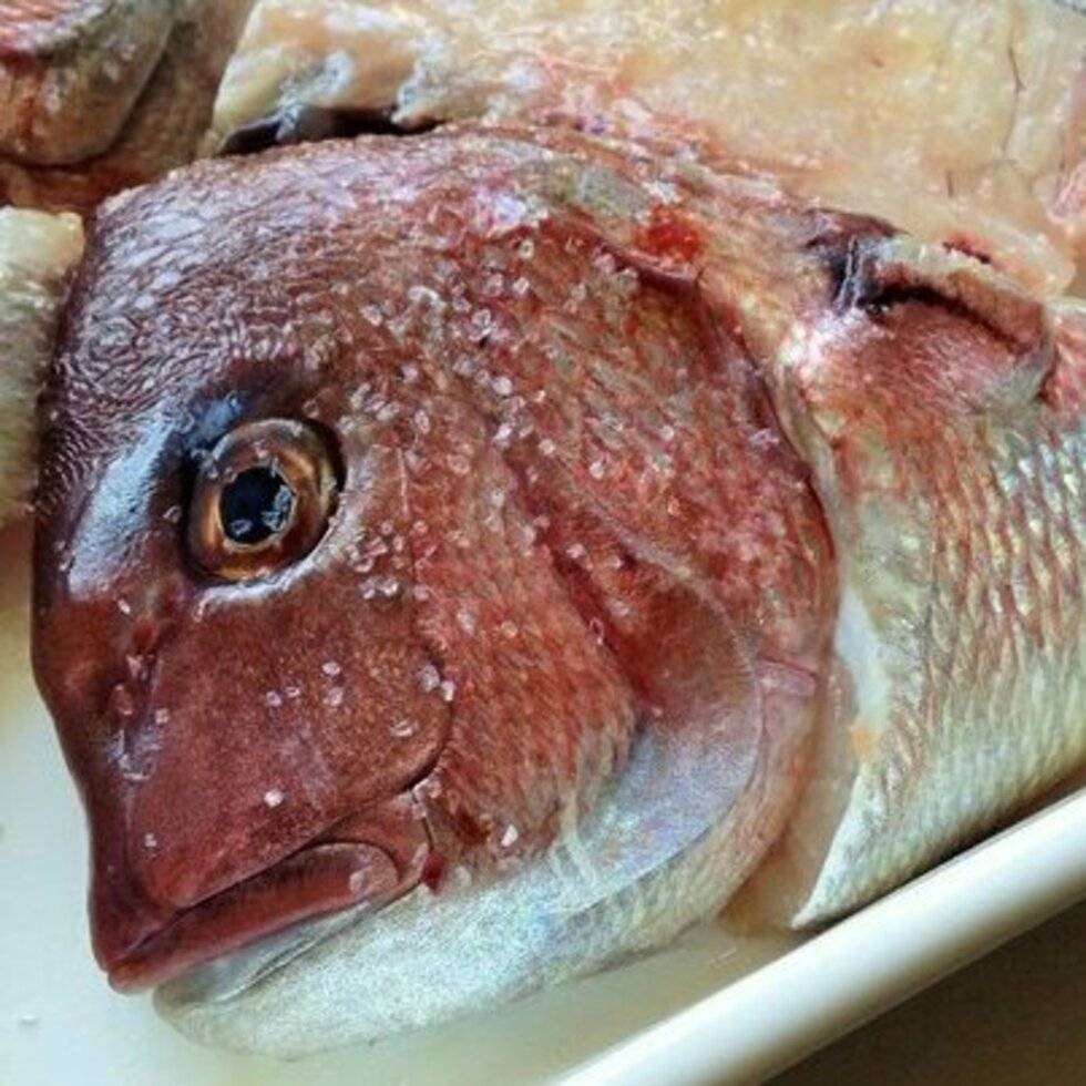 Red Sea Bream Head & Bones
