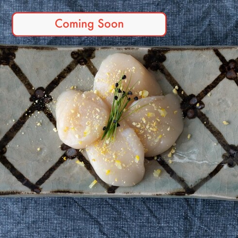 (Bientôt) Coquilles Saint-Jacques japonaises de Hokkaido (qualité sashimi) 4pcs par Nobu Sakaguchi (15 ans dans un étoilé Michelin)