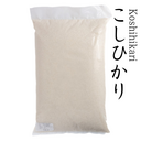 長野県産こしひかり 5kg - お一人様2点まで