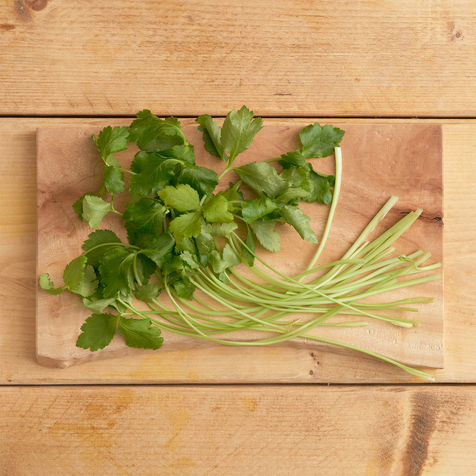 Fresh Mitsuba Herb from Kanto, Japan 60g