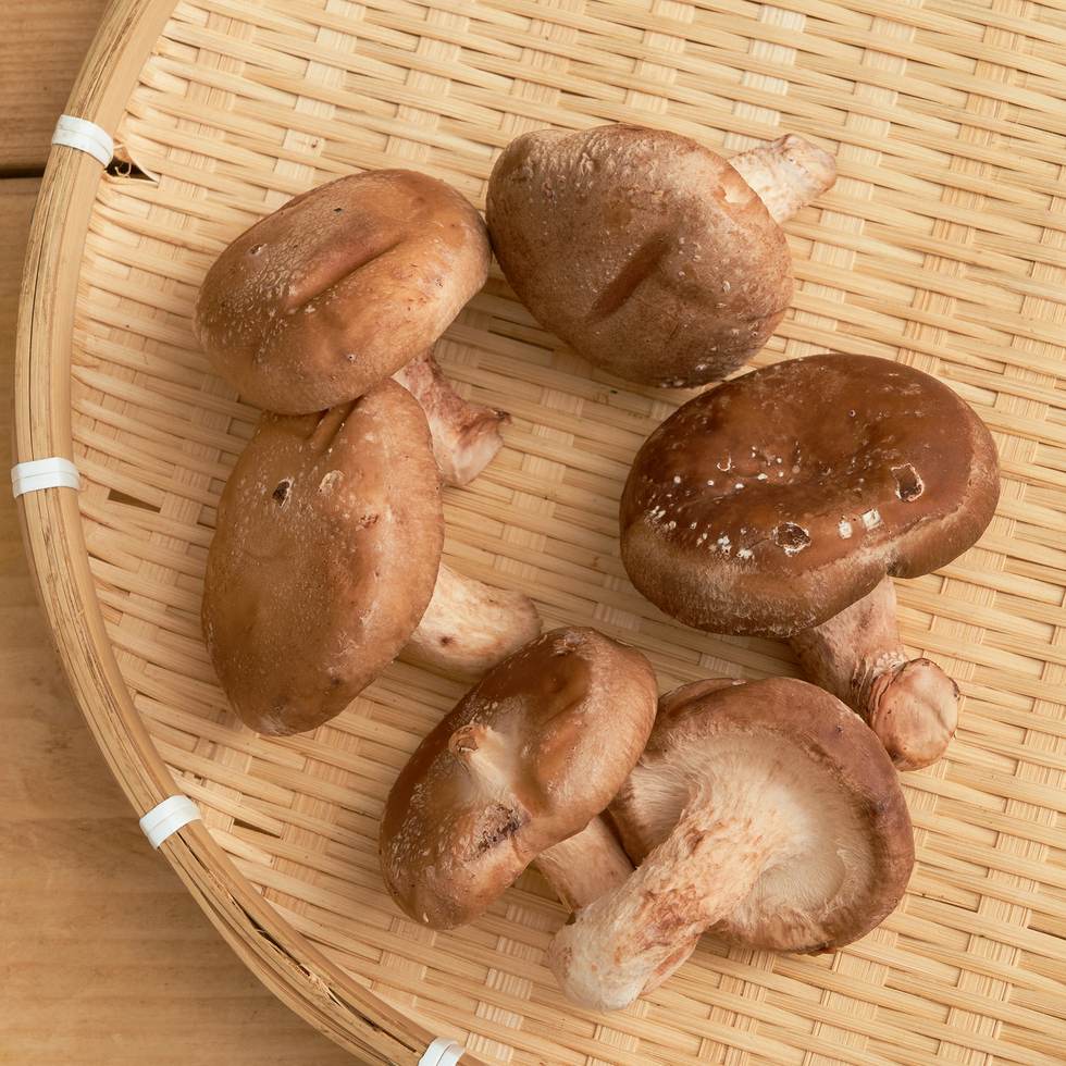 Fresh Shiitake Mushrooms from Akita, Japan 100g