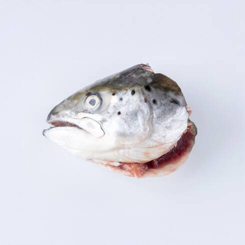 Tête de saumon 280-350g