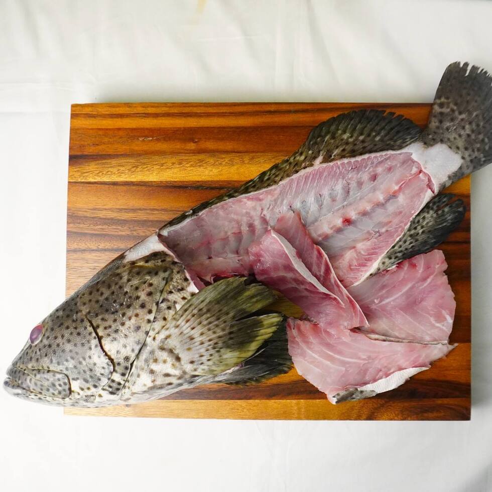 Tête et os de mérou 3000g- par Nobu Sakaguchi (15 ans dans un restaurant étoilé au Michelin)