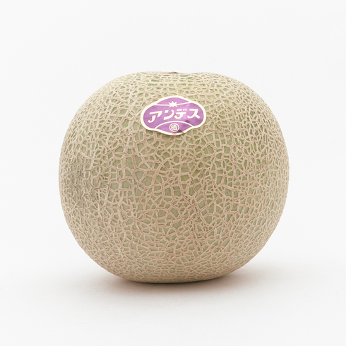 Andes Melon from Ibaraki, Japan 1 Whole Fruit (approx. 1kg)