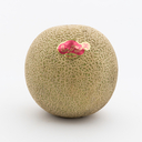 Japanese Renon Orange Flesh Melon 1pc