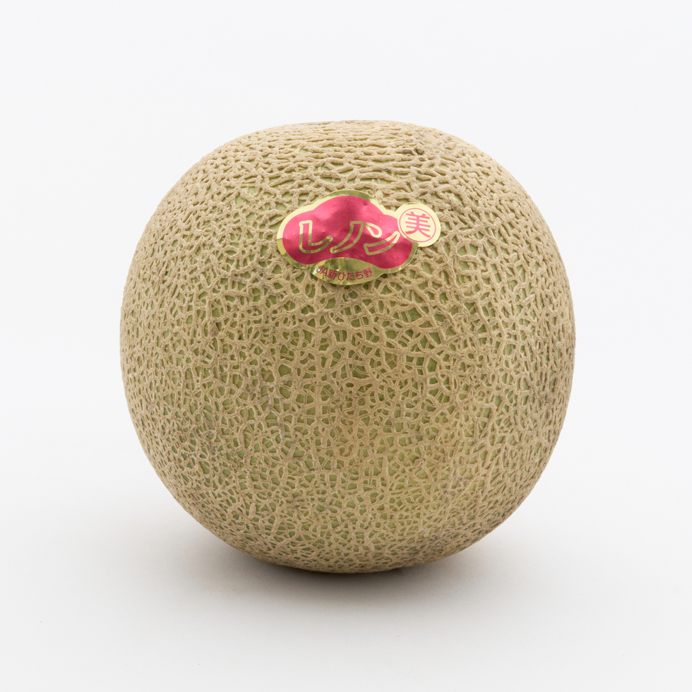Japanese Renon Orange Flesh Melon 1pc