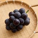 WASO Air-Flown Fresh Kyoho Grape from Yamanashi 400-500g (1 Bunch)