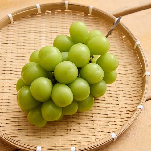 WASO Air-Flown Fresh Shine Muscat Grape from Nagano 1 Bunch