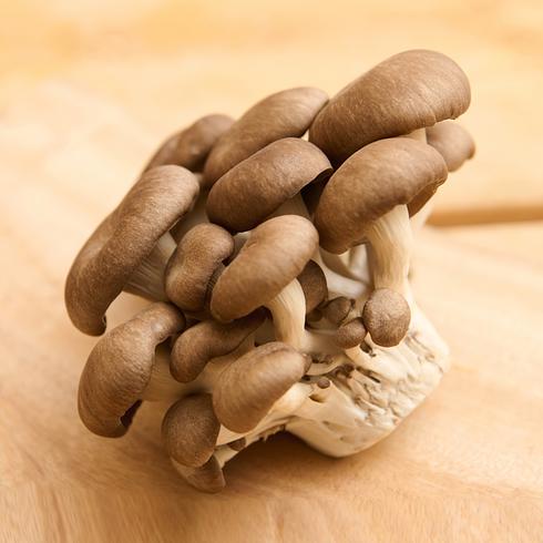 Japanese Shimofuri Hiratake Oyster Mushroom 100g