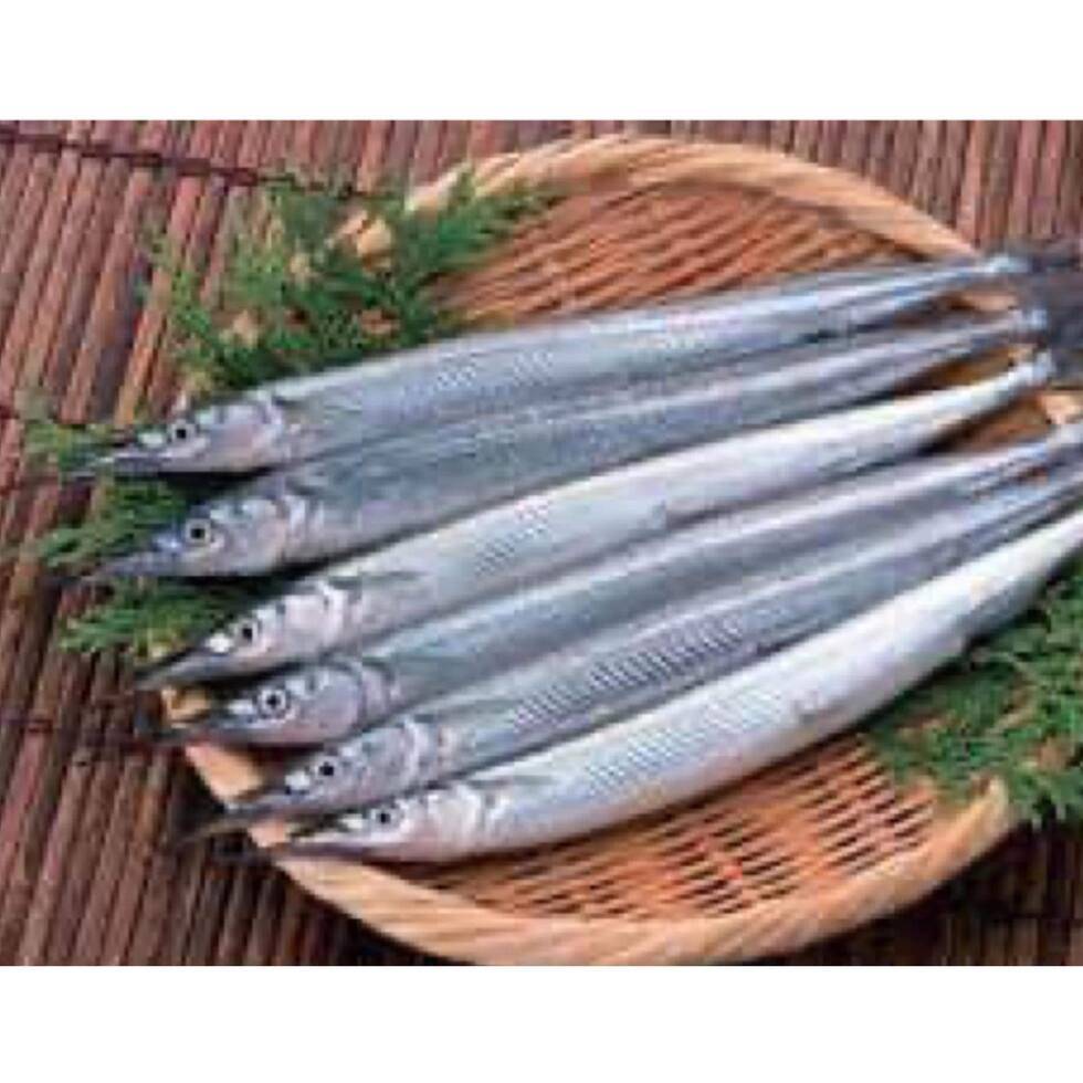 Needle Fish/Halfbeak (Head Less and Gutted and Scales off )