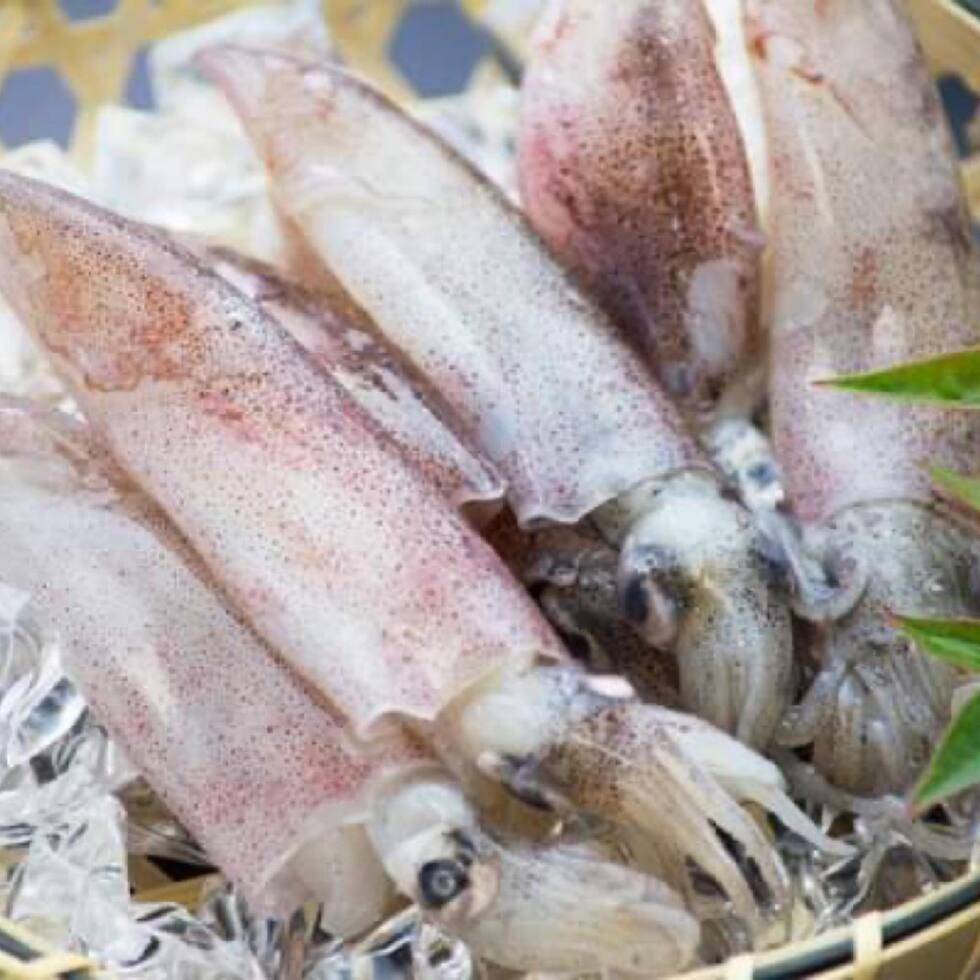 Baby Squid (skin on, bone off with tentacles) - USA