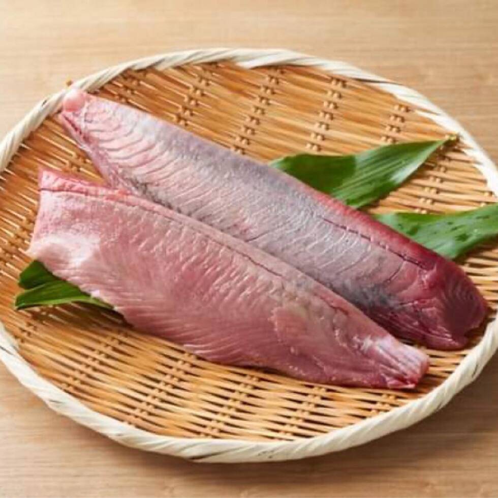 Bonito Belly Side for Cooking (Skin on / pin bone off) from Atlantic Ocean