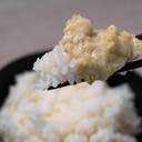 Wasabi Pickled in AWA Sake Lees & Mirin – Michelin‑Beloved Sake Lees 100g