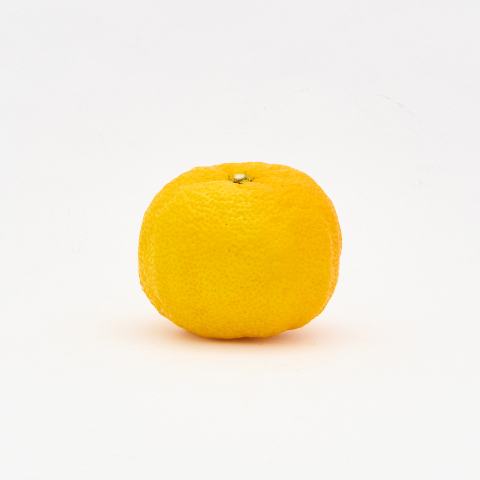 Japanese Yuzu Citrus Whole Piece(1 Piece)