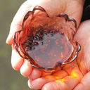 【香港品牌】SunLi 花椒辣椒油 185克