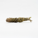 Fresh Wasabi Root from Shizuoka, Japan 1 Piece