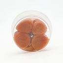 Chinriu Honten Sannenzuke Umeboshi – Three Years Matured Umeboshi 120g