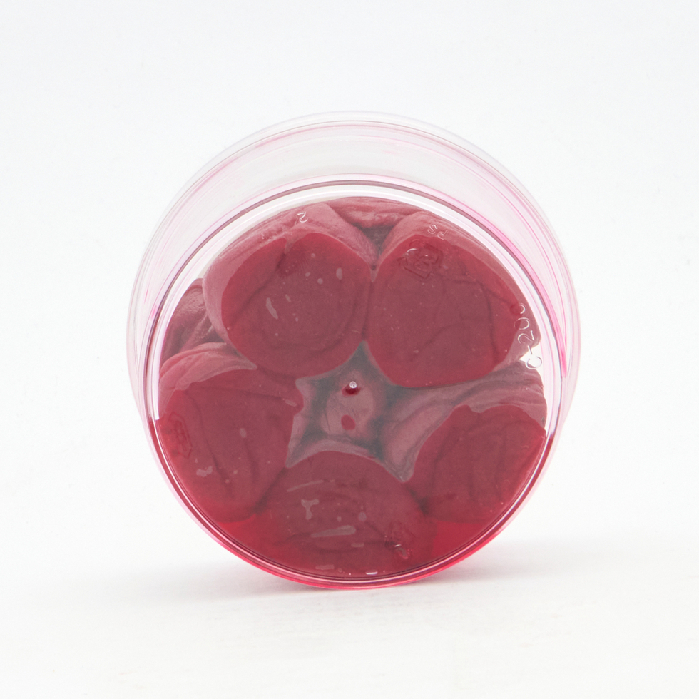 Chinriu Honten Kobai – All-Natural, Traditional Salty & Sour Red Umeboshi 120g