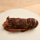 Whole Tristan Lobster (Boiled)