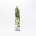 Fresh Mitsuba Herb from Kanto, Japan 60g