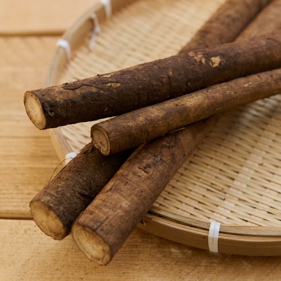 Burdock Root, Cut into 3 pieces 80-90cm from China ※Click for details