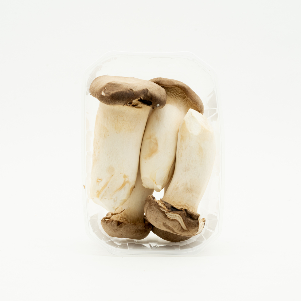 Pleurotes du panicaut 200g
