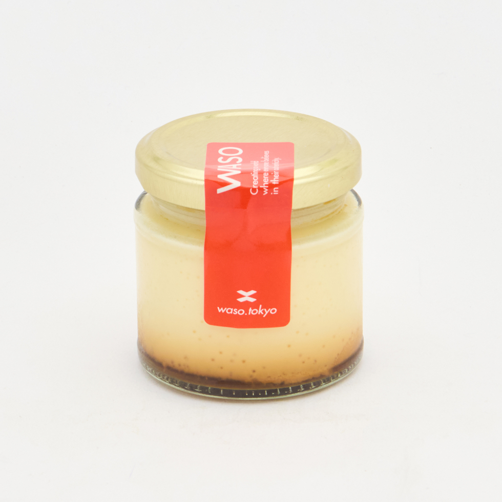 Homemade Smooth Custard Pudding Made with Generous Cream